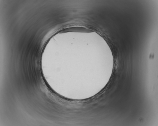 X0000110770004200907131245