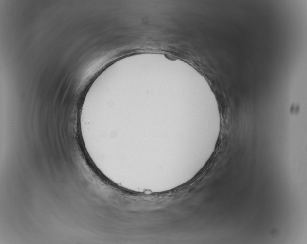 X0000110770005200907131245