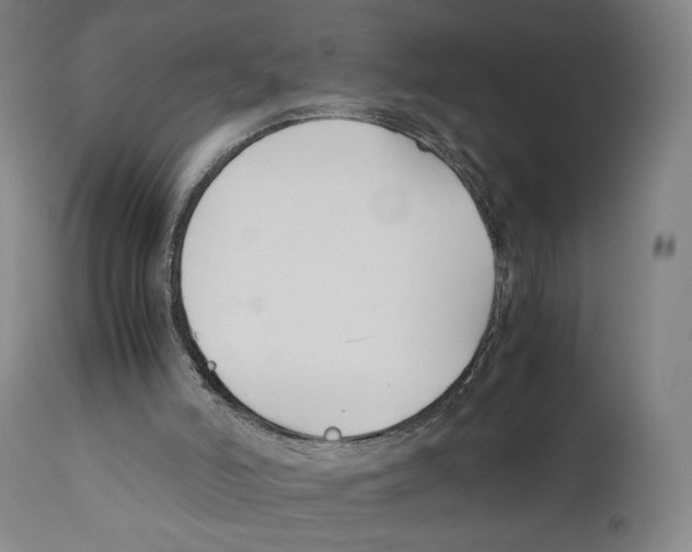 X0000110770006200907131245