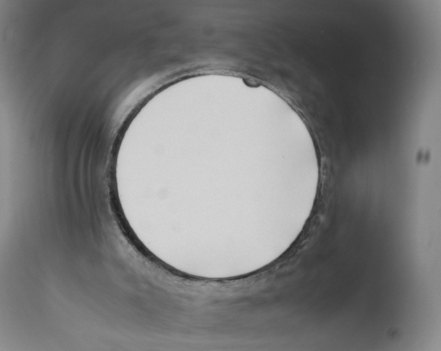 X0000110770007200907131244