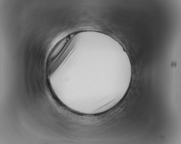 X0000110770008200907131244