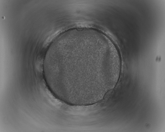 X0000110770009200907131244