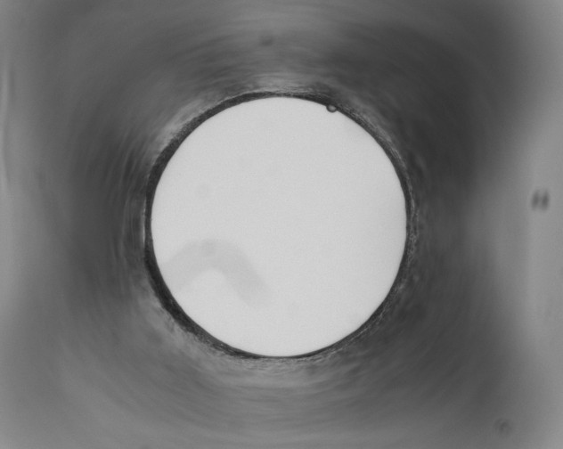 X0000110770011200907131244