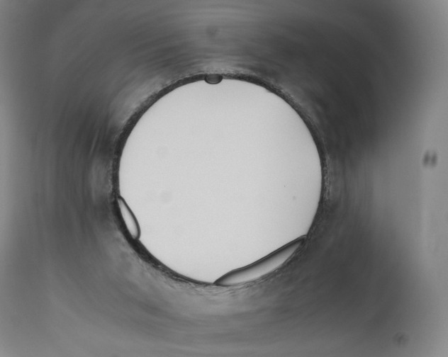 X0000110770015200907131244