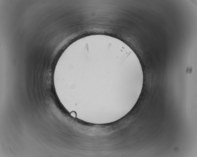 X0000110770016200907131244