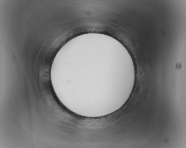 X0000110770017200907131244