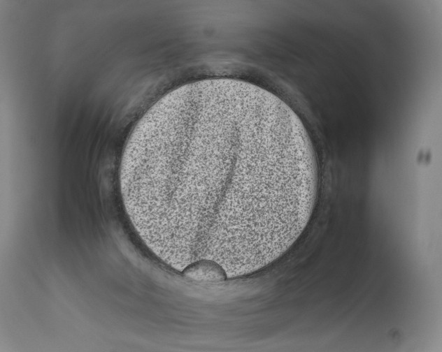 X0000110770018200907131244