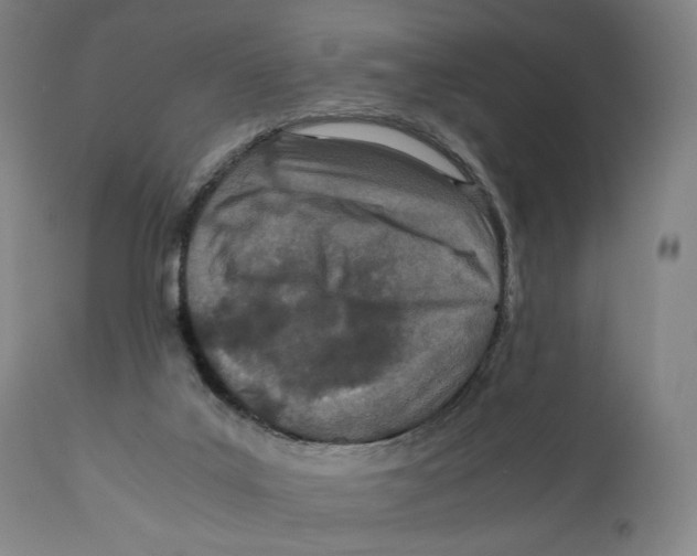 X0000110770019200907131244