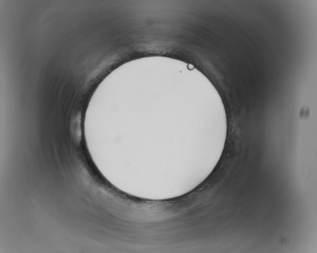 X0000110770020200907131244