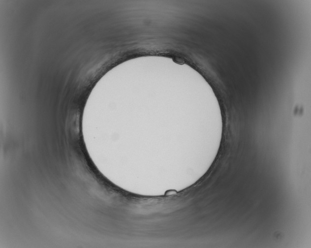 X0000110770021200907131244