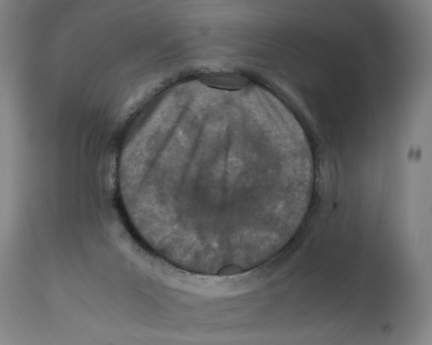 X0000110770023200907131244