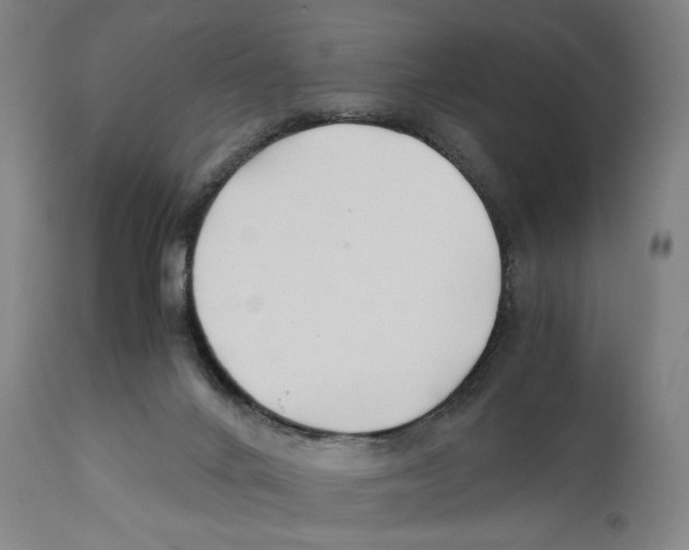 X0000110770024200907131244