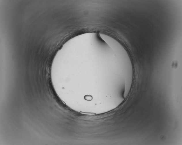 X0000110770025200907131244