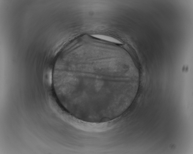 X0000110770027200907131244