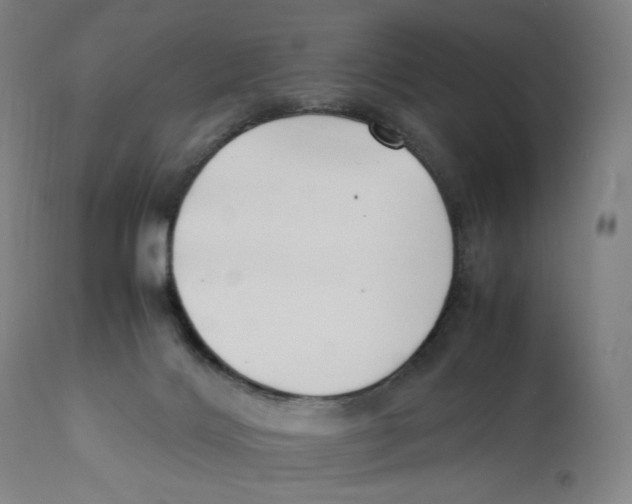 X0000110770028200907131244