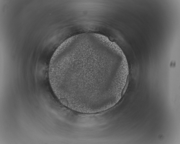 X0000110770029200907131244