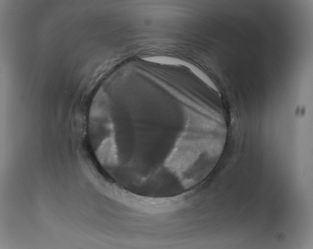 X0000110770031200907131244