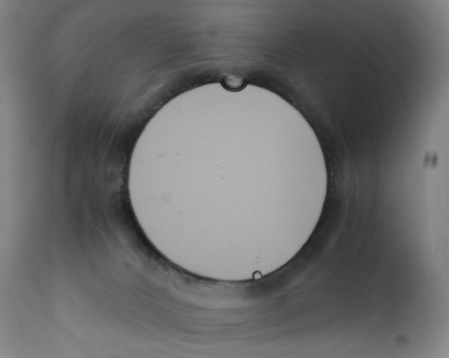 X0000110770032200907131244