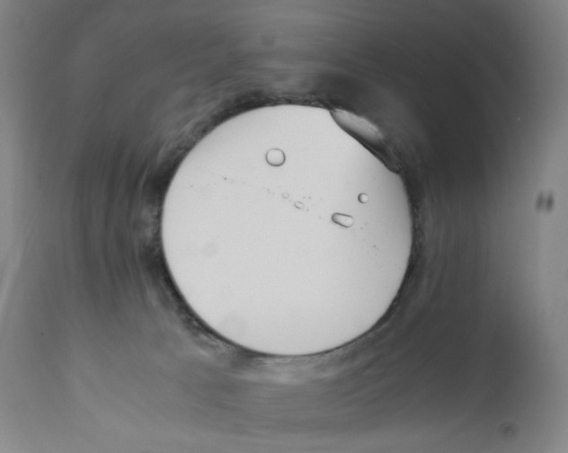 X0000110770033200907131244