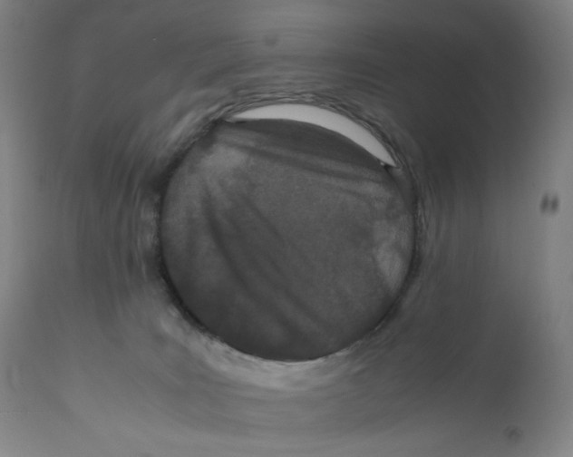 X0000110770035200907131244