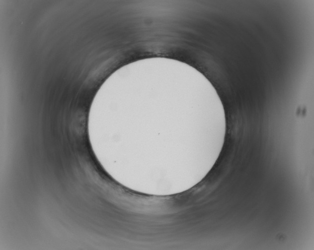 X0000110770036200907131244