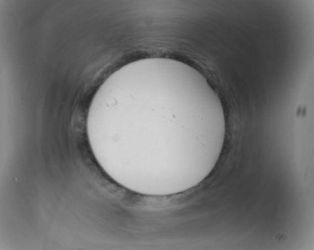 X0000110770037200907131244