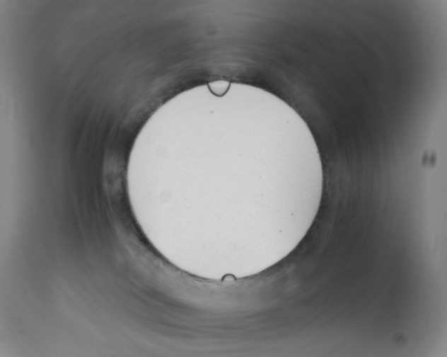 X0000110770038200907131244