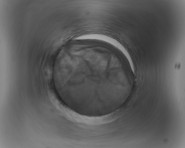 X0000110770039200907131244