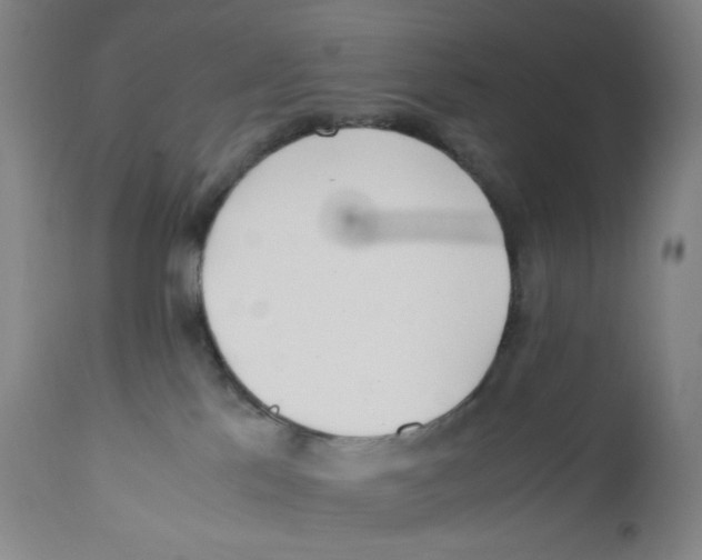 X0000110770041200907131244