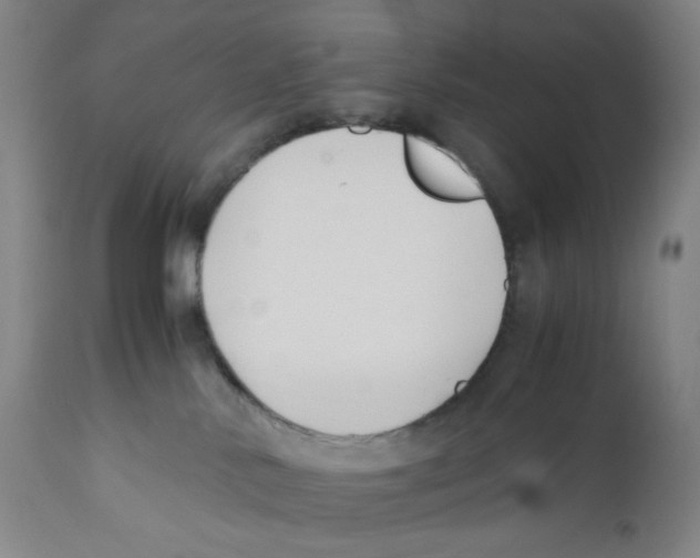 X0000110770042200907131244