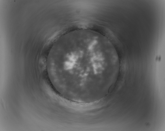 X0000110770043200907131244