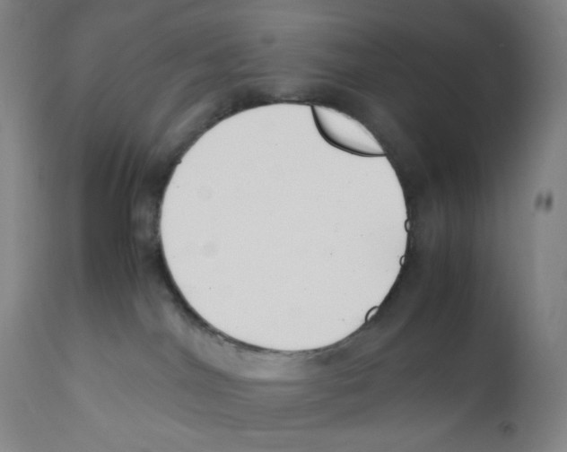 X0000110770044200907131244