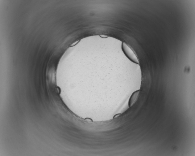 X0000110770046200907131244