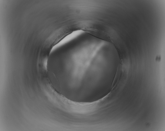 X0000110770047200907131244