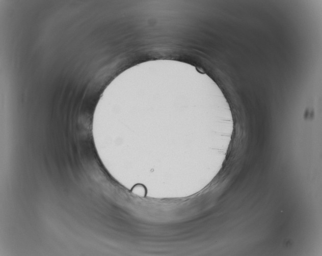 X0000110770048200907131244