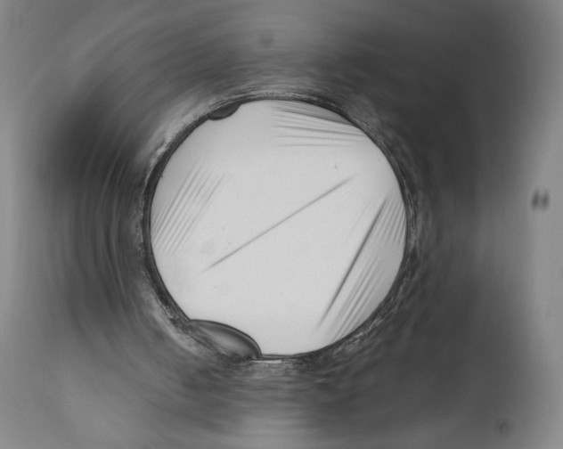 X0000110770050200907131243