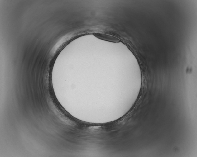 X0000110770054200907131243