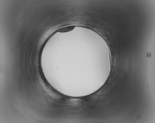 X0000110770055200907131243