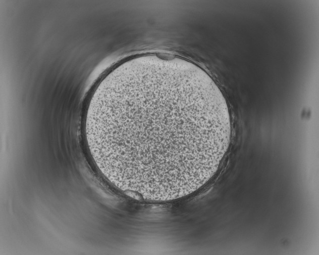 X0000110770056200907131243