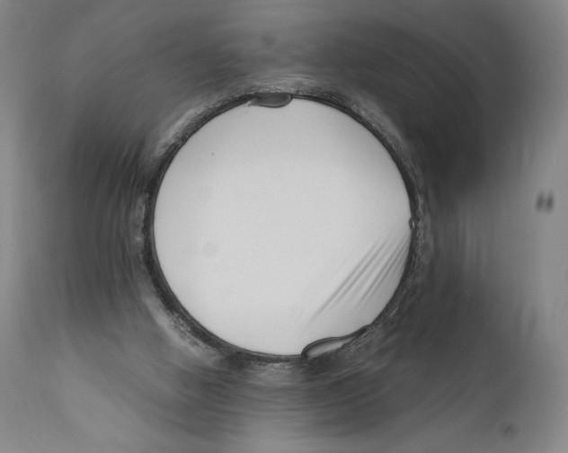 X0000110770058200907131243