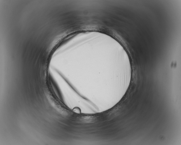 X0000110770059200907131243