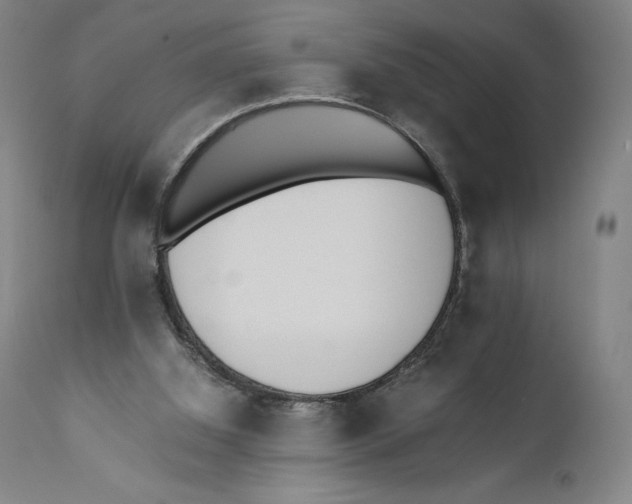 X0000110770060200907131243