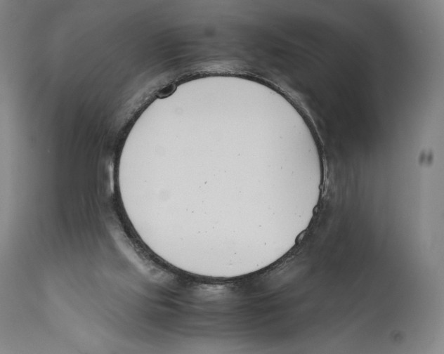 X0000110770061200907131243