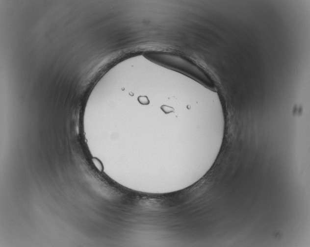 X0000110770062200907131243