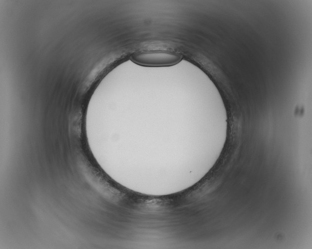 X0000110770064200907131243