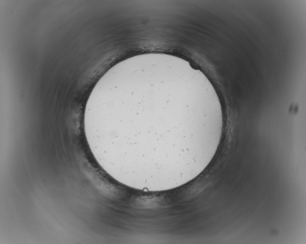 X0000110770065200907131243