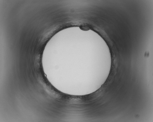 X0000110770066200907131244