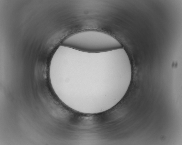 X0000110770068200907131244