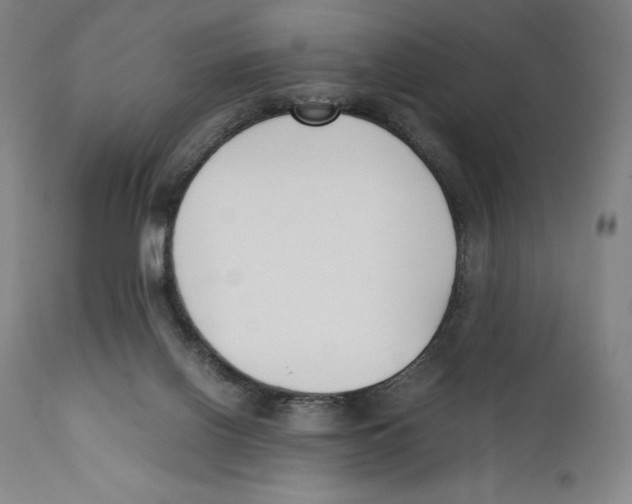 X0000110770070200907131244