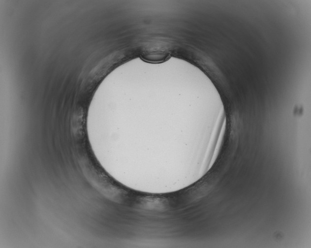 X0000110770073200907131244